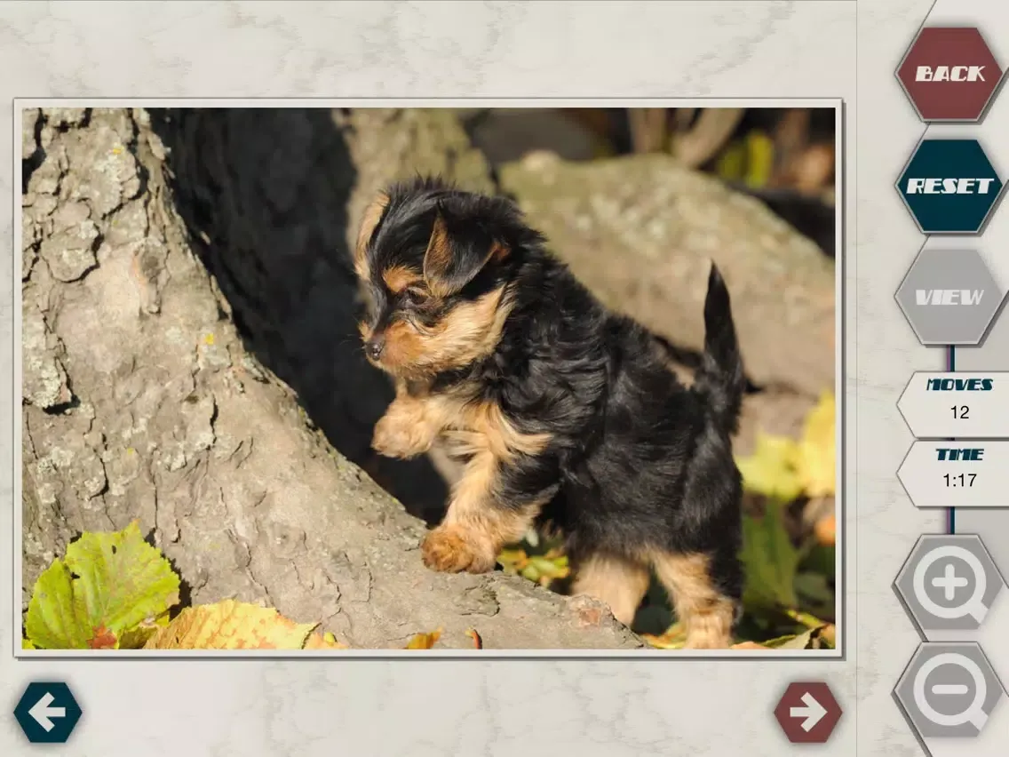 HexSaw - Puppies iPad  스크린샷