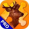 Animals Jigsaw Puzzles. Premium Animals Jigsaw Puzzles. Premium