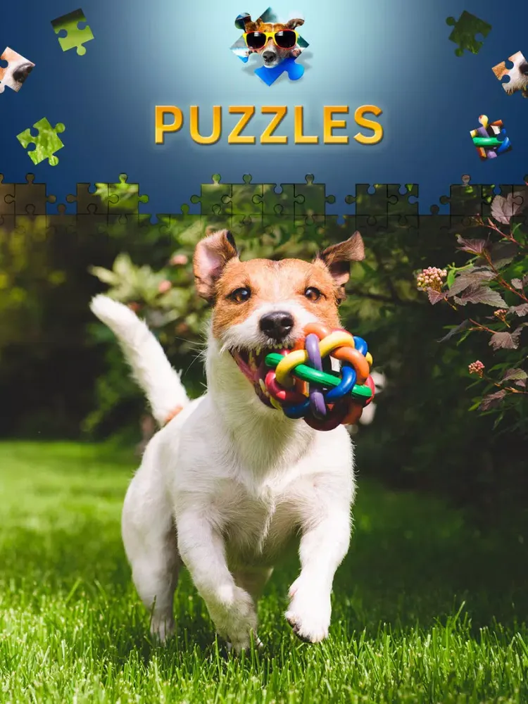 Zrzuty ekranu Dogs Jigsaw Puzzle Game. Premium iPad 