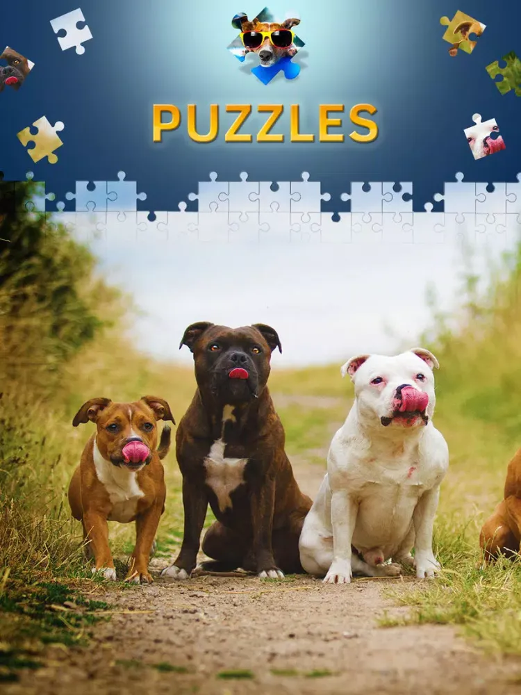 Zrzuty ekranu Dogs Jigsaw Puzzle Game. Premium iPad 