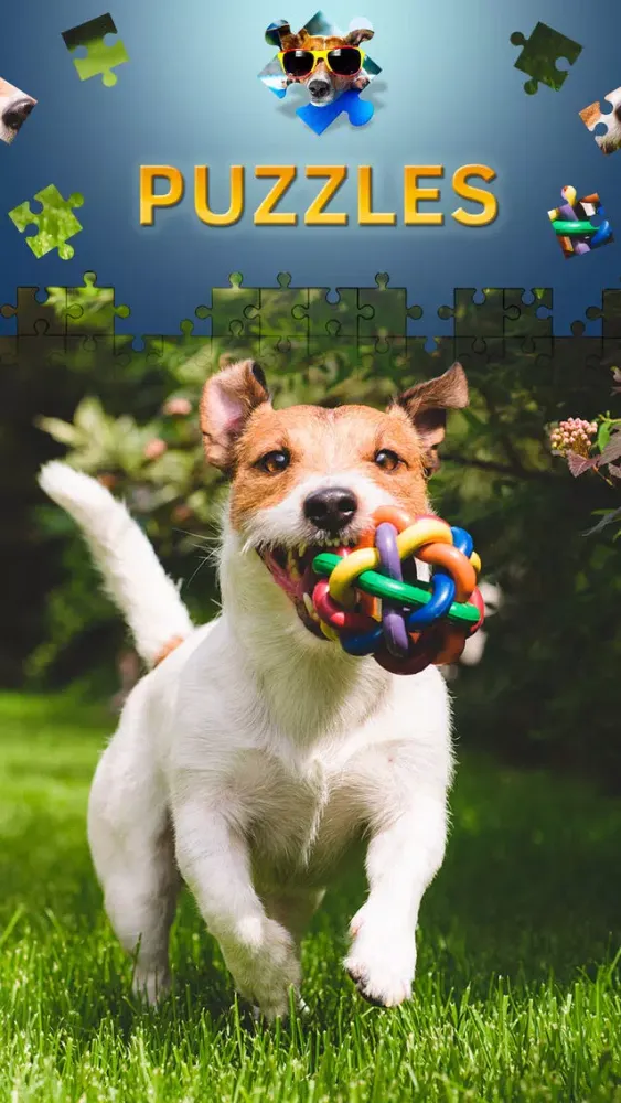 Zrzuty ekranu Dogs Jigsaw Puzzle Game. Premium