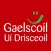 Gaelscoil Uí Drisceoil