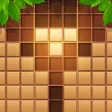 Wood Block Puzzle Sudoku Wood Block Puzzle Sudoku