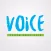 Voice Youth Fest
