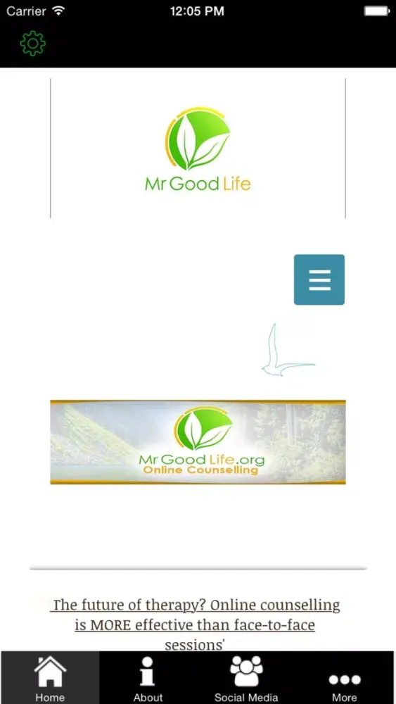 MrGoodLife Counselling スクリーンショット