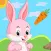 Bunny Food