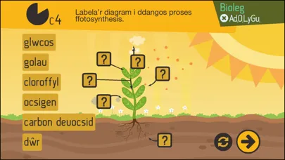 Zrzuty ekranu Adolygu 2 - Revision 2