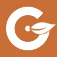 Galata TRAPDE