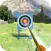 Super Archer Shoot