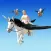 Flying Unicorn Racing 3D