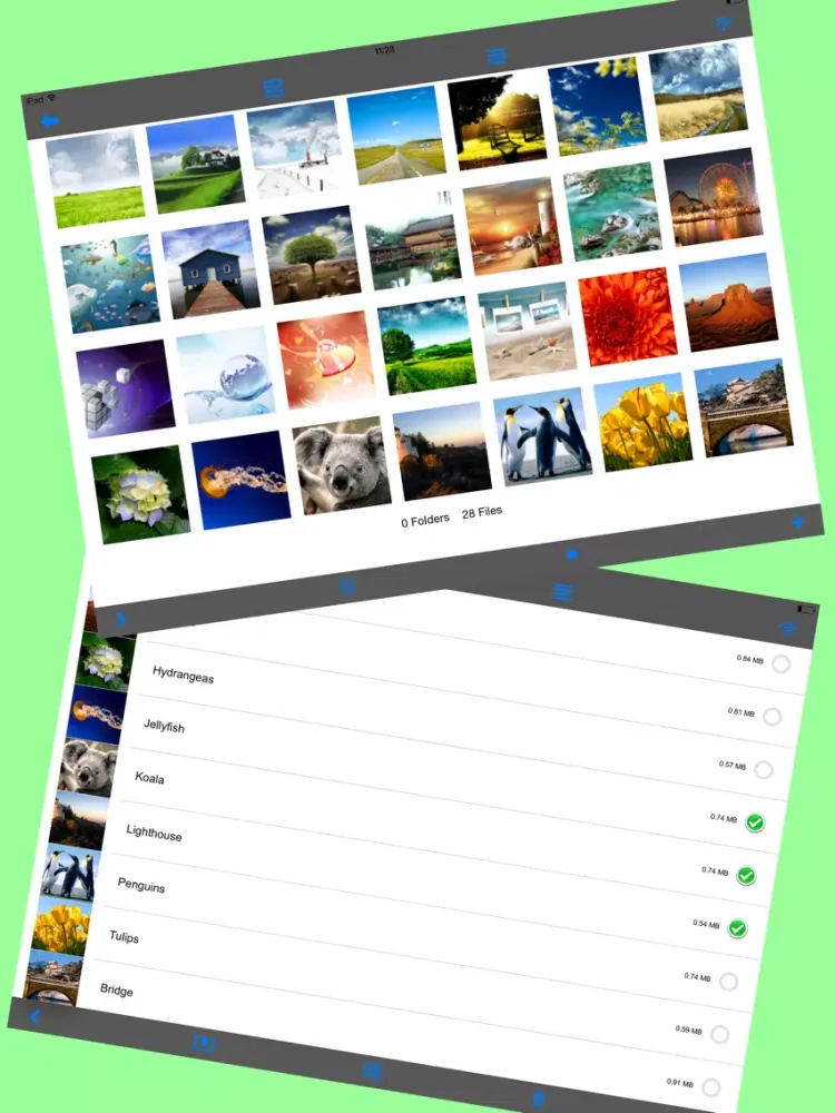 Скриншоты Photo Vault Locked Photo Album iPad 