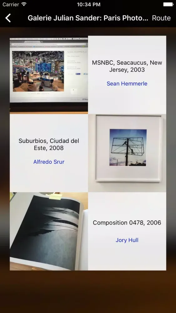 Galerie Julian Sander应用截图