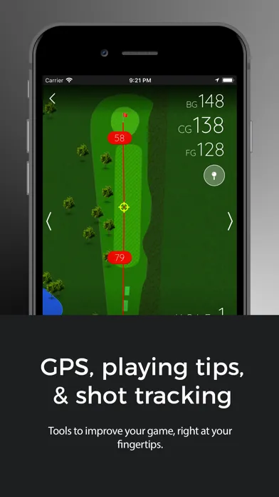 Langley Golf Centre スクリーンショット