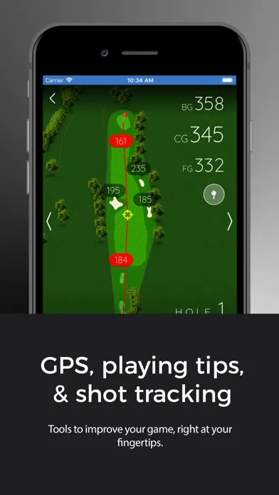Скриншоты The Oasis Golf Club