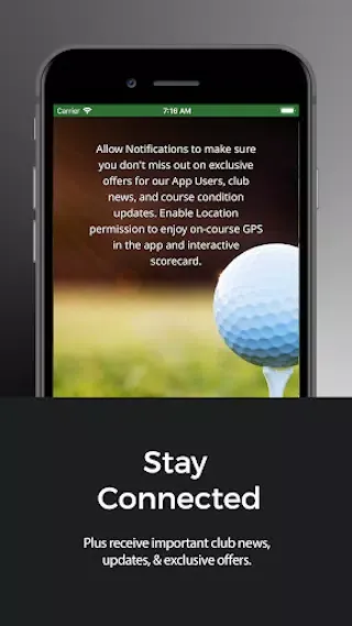 Screenshot di Alpine Golf Course