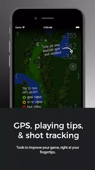 Screenshot di Alpine Golf Course