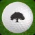 Tomoka Oaks Golf Club