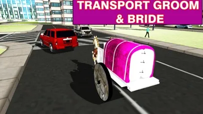 Wedding Horse Carriage & City Bridal Driving Screenshots