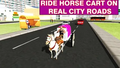 Wedding Horse Carriage & City Bridal Driving Screenshots