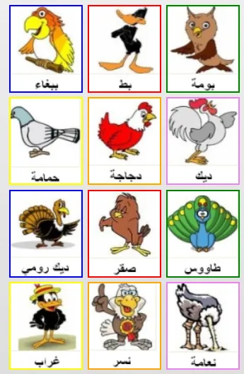 arabic for kids স্ক্রিনশট