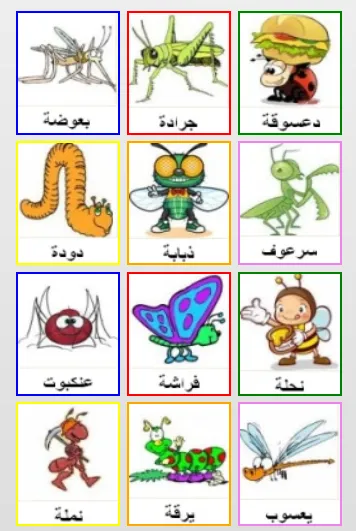 arabic for kids স্ক্রিনশট