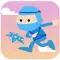 Mr. Ninja Star