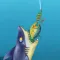 Fishing Fast