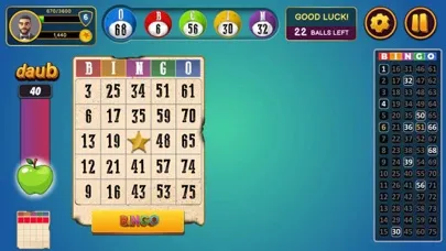 Скриншоты Bingo Classic!