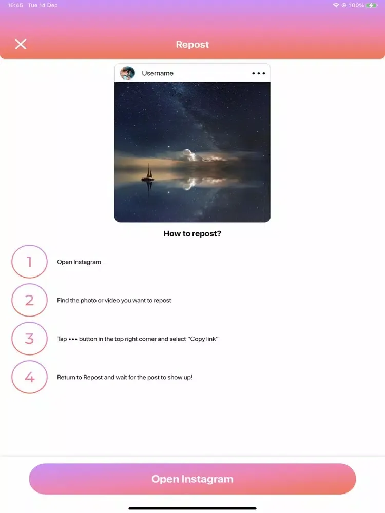 Repost for Instagram Profile iPad  स्क्रीनशॉट