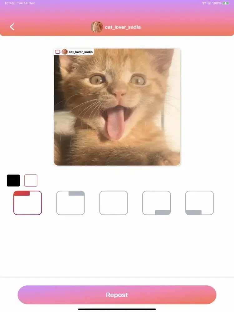 Repost for Instagram Profile iPad  स्क्रीनशॉट