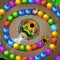 Zumba Jungle Marble