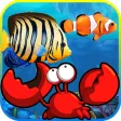 Crab Fish Crab Fish