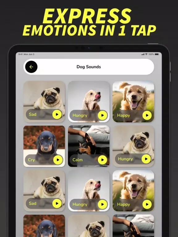 Dog Barking Translator App iPad  Screenshots