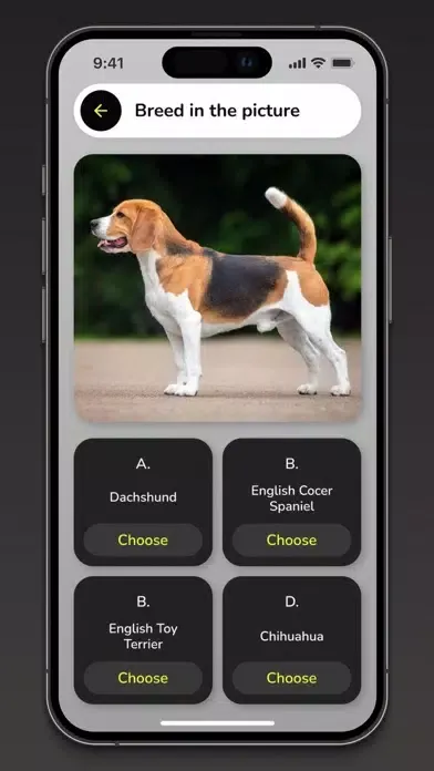 Dog Barking Translator App Screenshots