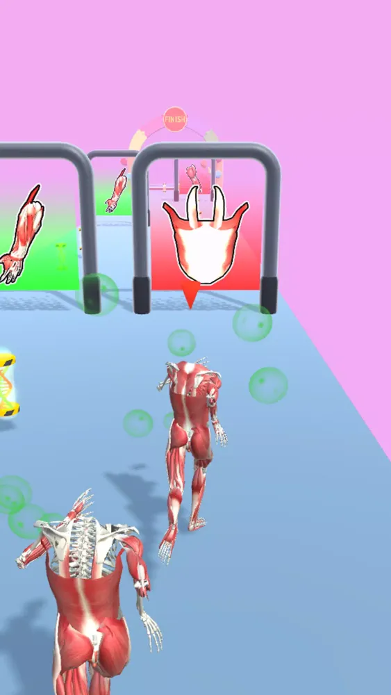 Human Evolution Run Screenshots