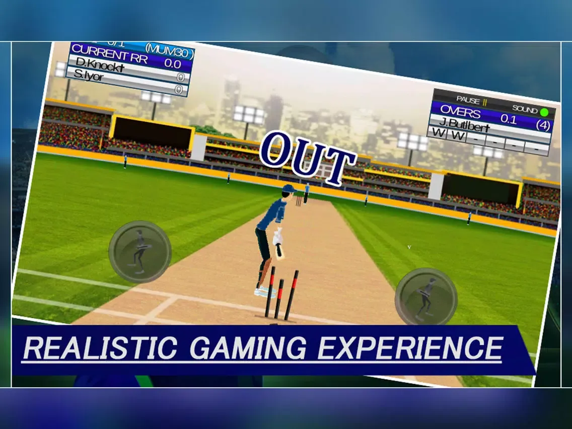 IPL Cricket Craze 3D iPad  スクリーンショット