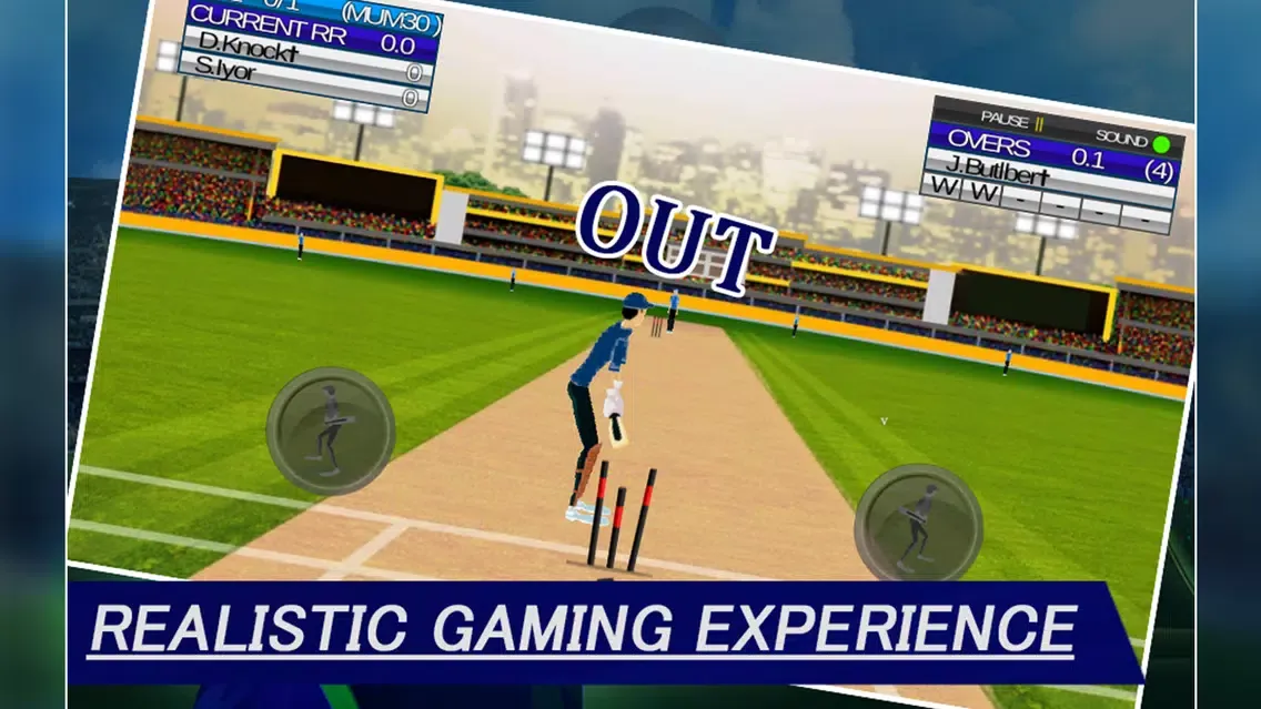IPL Cricket Craze 3D スクリーンショット