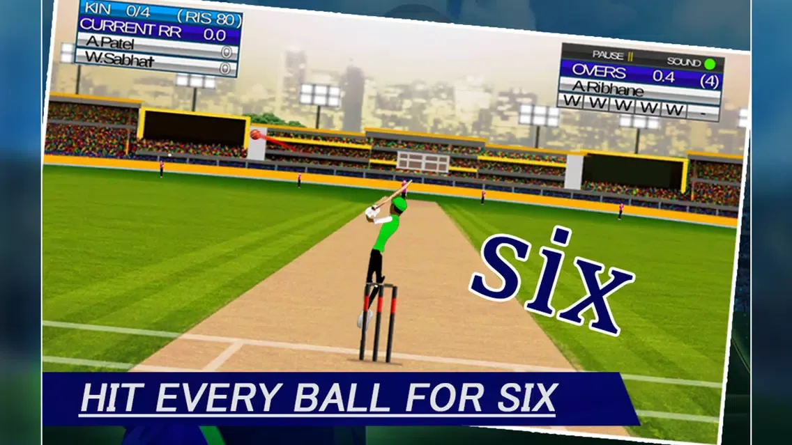 IPL Cricket Craze 3D スクリーンショット