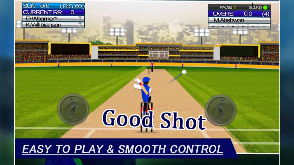 IPL Cricket Craze 3D スクリーンショット