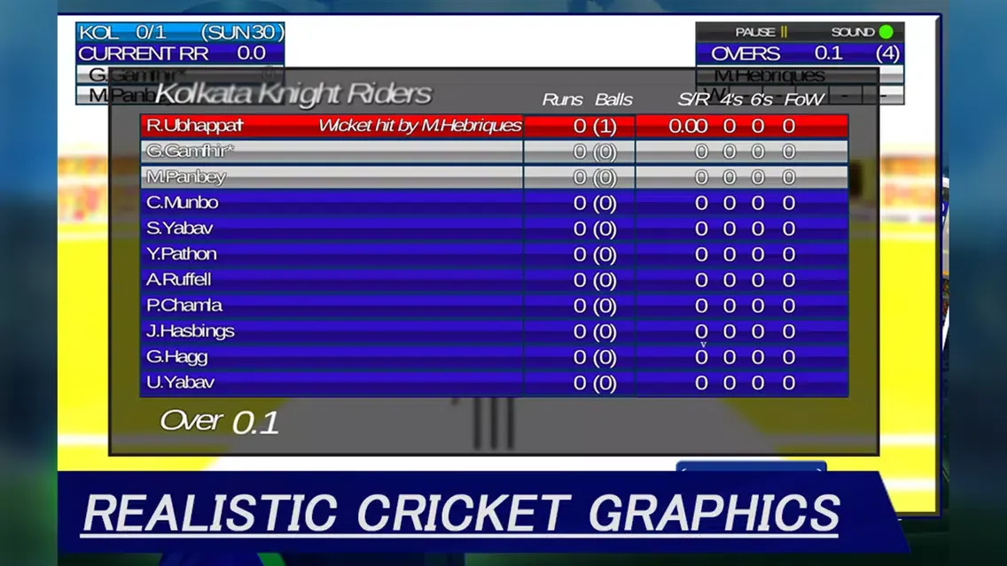 IPL Cricket Craze 3D スクリーンショット