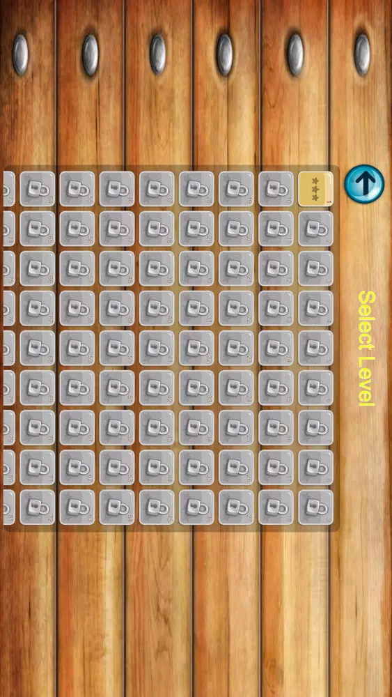 Push Box Trum应用截图