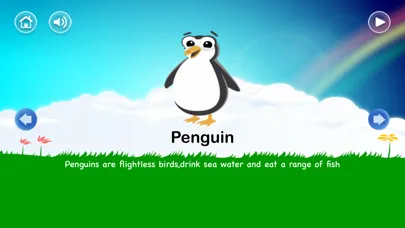 صور Animals planet learning