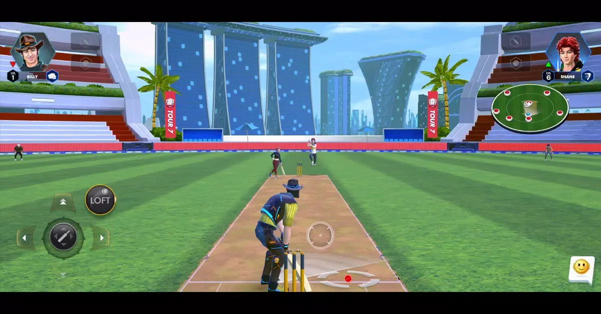 Super Six Cricket Screenshots