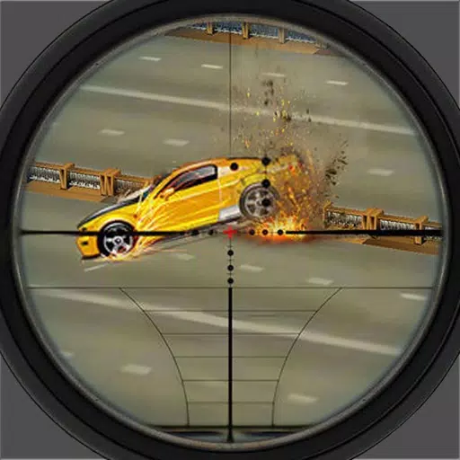 Sniper Kill Traffic Enemies Sniper Kill Traffic Enemies