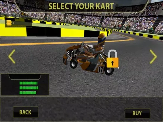 Capturas de tela do Kart Racing 3D Ultimate Race iPad 