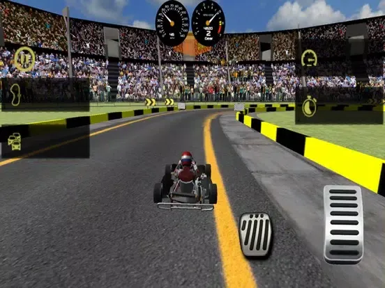 Capturas de tela do Kart Racing 3D Ultimate Race iPad 