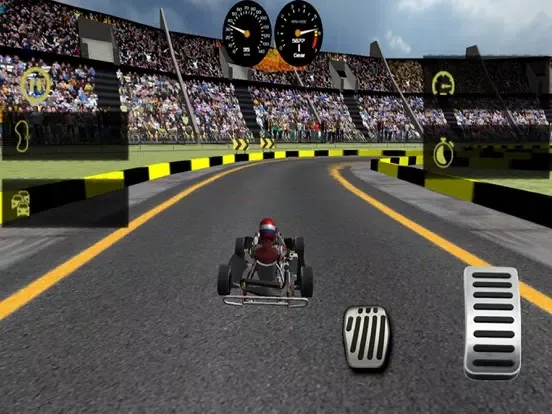 Capturas de tela do Kart Racing 3D Ultimate Race iPad 