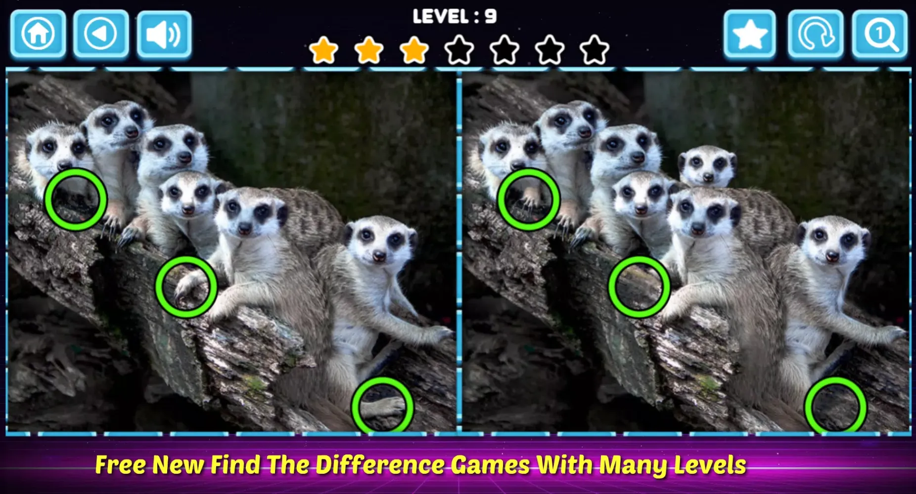 Find the difference hard應用截圖