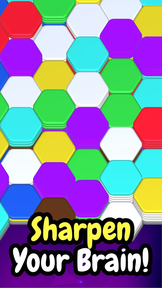 Tangkapan skrin Hexa Puzzle: Sorting Hexa Game