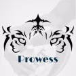 Prowess-GameChanger Prowess-GameChanger